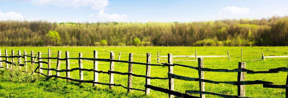Rancher's Choice